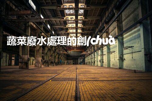 蔬菜廢水處理的創(chuàng)新之路？揭秘綠色科技的以后！